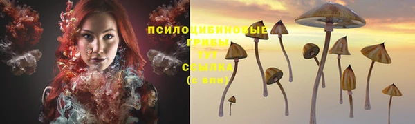 прущий лед Балахна